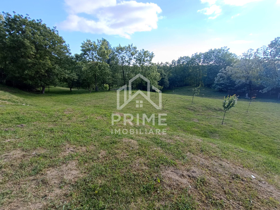 Case de vanzare Oarda 22