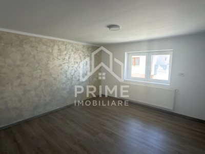 Case de vanzare Sebes imagine mica 3