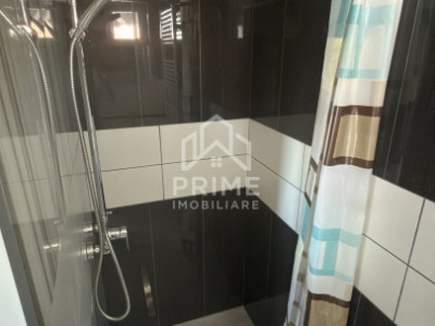 Case de vanzare Sebes imagine mica 7