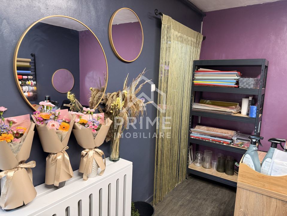 Spatii comerciale de vanzare Alba Iulia Ampoi 2 5