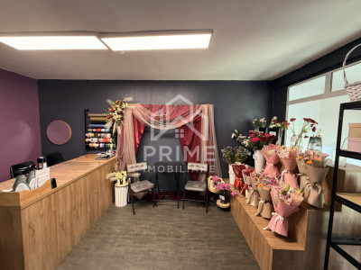 Spatii comerciale de vanzare Alba Iulia Ampoi 2 imagine mica 2