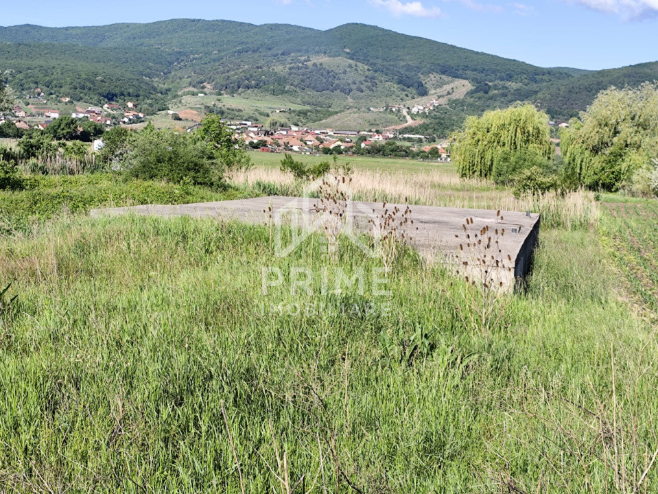 Terenuri de vanzare Micesti 3