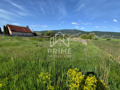 Teren intravilan de 1350mp, zona Micesti