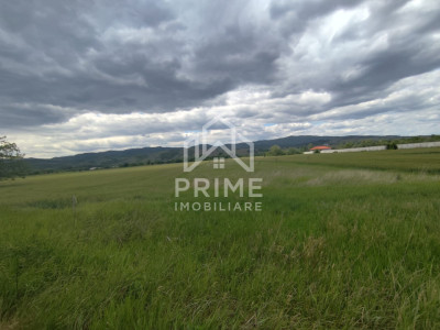 Teren extravilan de 10.400 mp, zona Vintu de Jos 