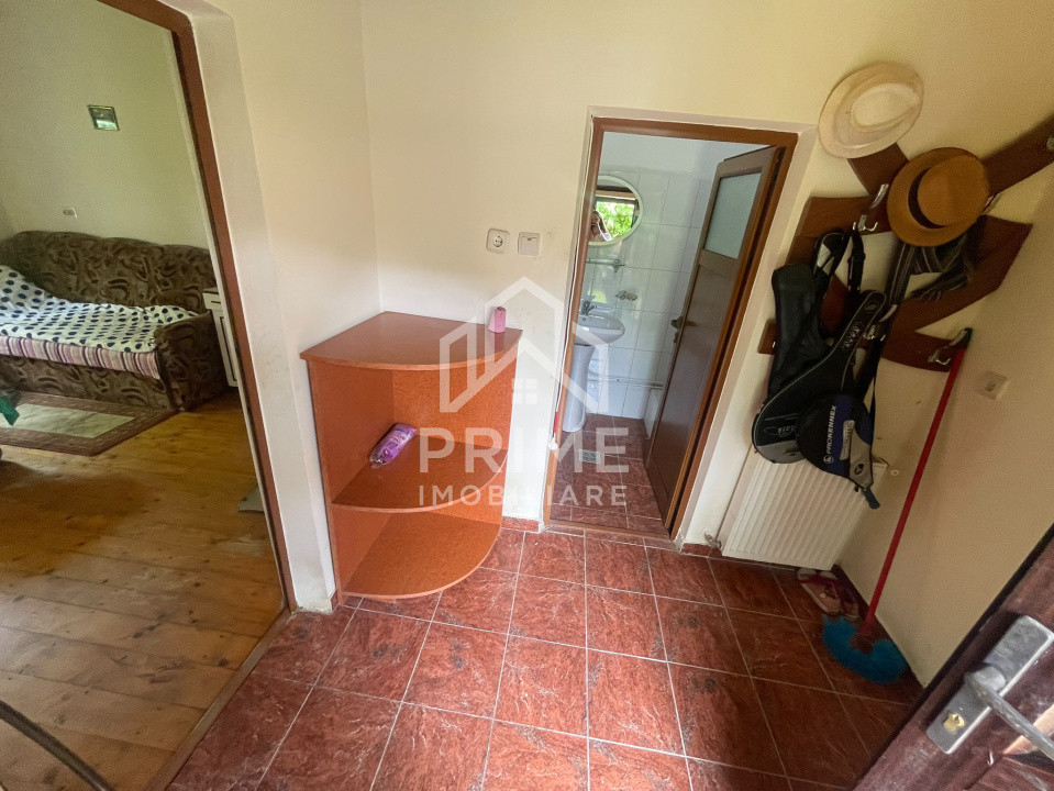 Case de vanzare Pianu de Sus 5