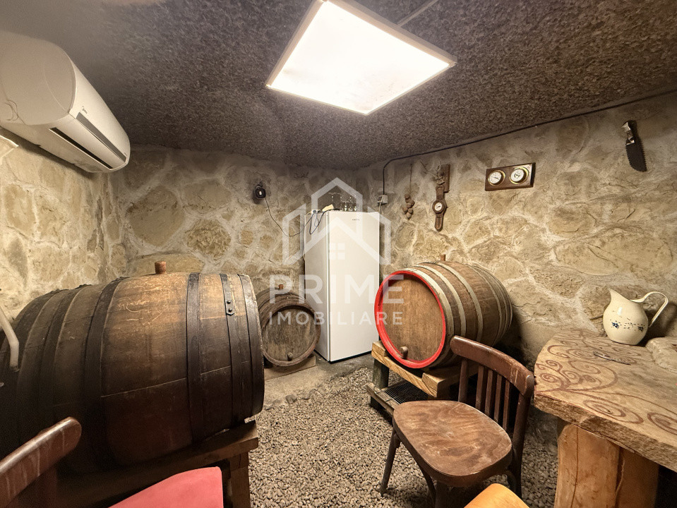 Case de vanzare Cricau Central 9