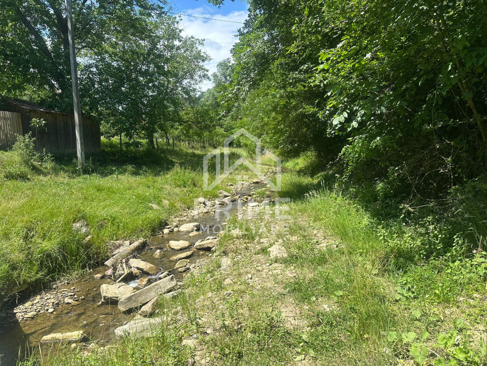 Terenuri de vanzare Valea Vintului 2