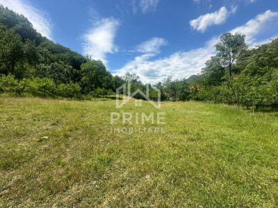 Teren Intravilan 700 mp| Ideal pentru cabana| zona Valea Vintului 