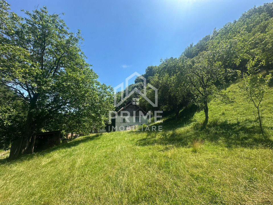 Case de vanzare Valea Vintului 7