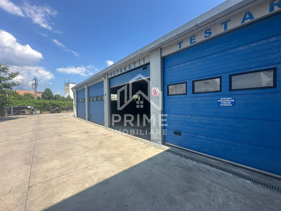Spatii industriale de vanzare Alba Iulia 3