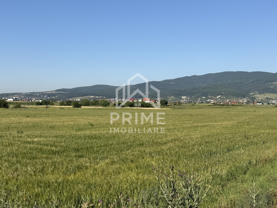 Terenuri de vanzare Alba Iulia Barabant 3