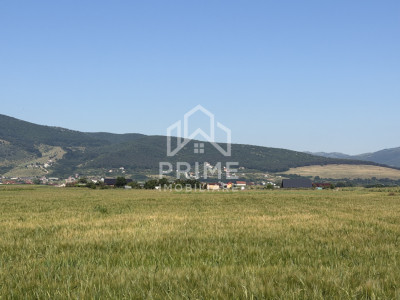 Teren Extravilan | 11.100 MP | 32M Deschidere| Orizont-Bărăbanț | OPORTUNITATE |