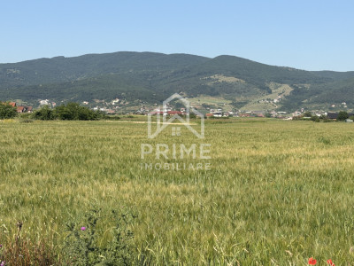 Terenuri de vanzare Alba Iulia Barabant imagine mica 2
