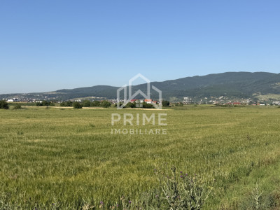 Terenuri de vanzare Alba Iulia Barabant imagine mica 3