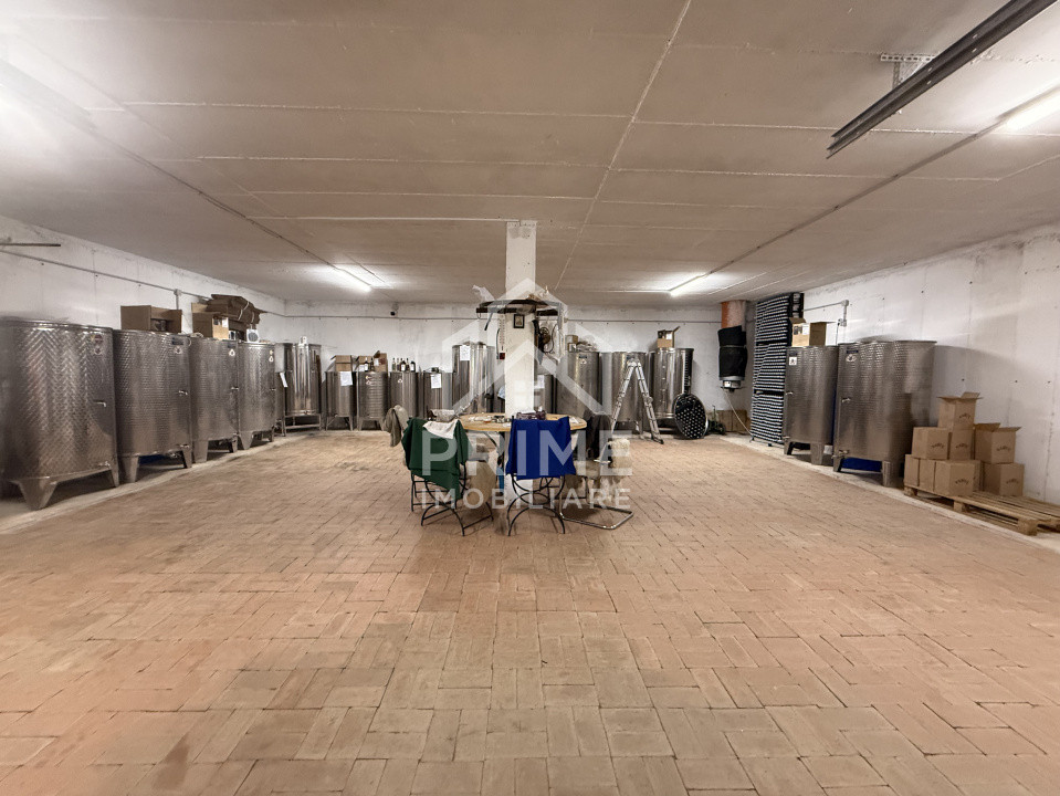 Spatii industriale de vanzare Cricau 9