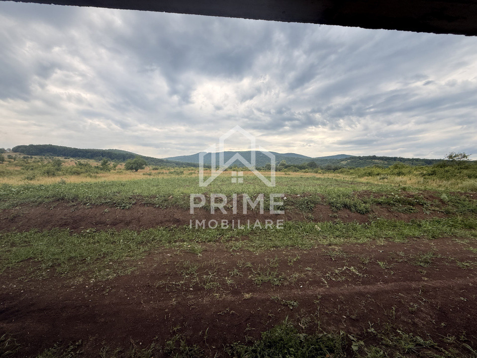 Case de vanzare Alba Iulia Cetate 6
