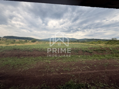 Case de vanzare Alba Iulia Cetate imagine mica 6
