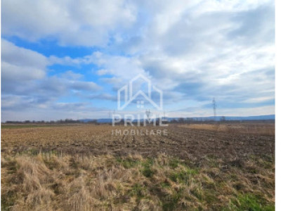 Teren de vanzare | 6400mp | Zona Centura Alba Iulia