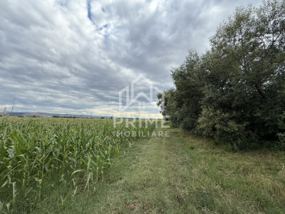 Terenuri de vanzare Alba Iulia Exterior Nord imagine mica 2