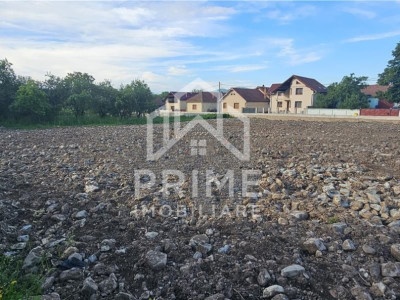 Teren intravilan 2450mp | Zona Centrală - Bucerdea Vinoasă