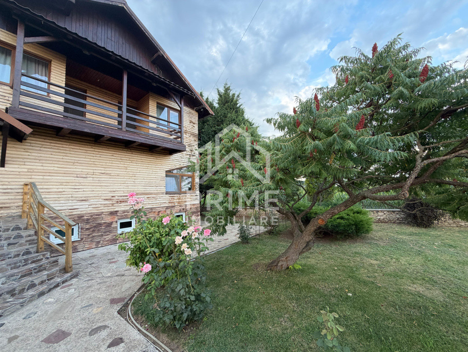 Case de vanzare Micesti Central 1