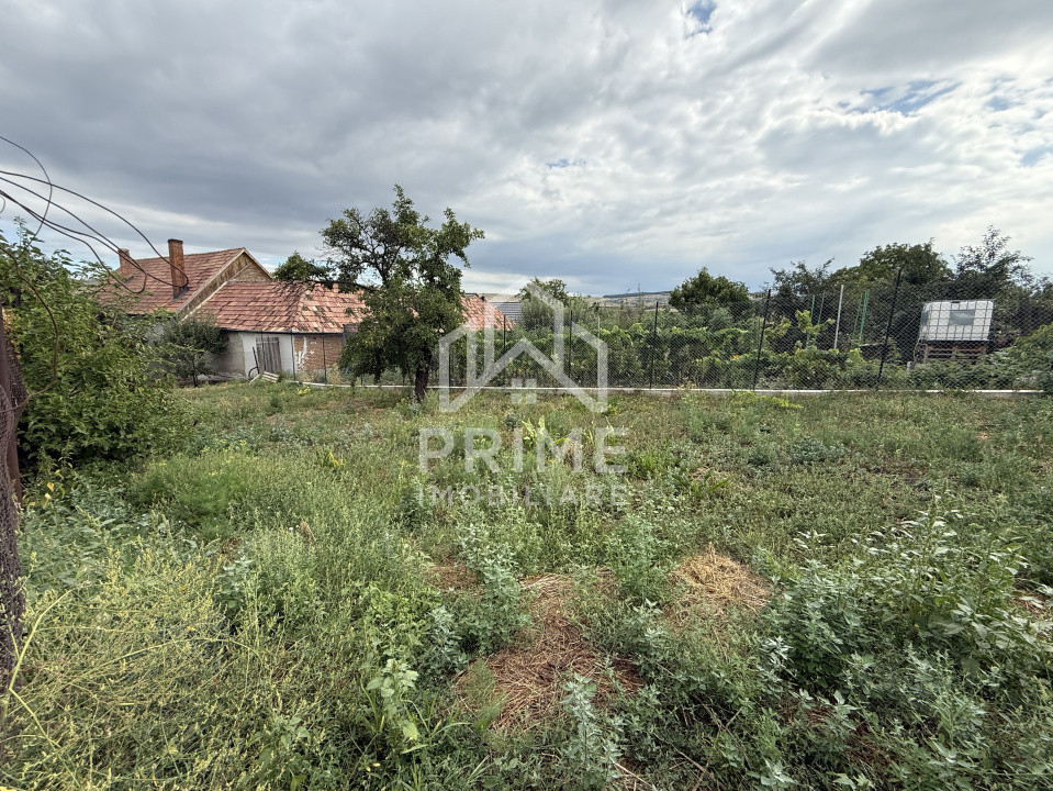 Case de vanzare Daia Romana 8