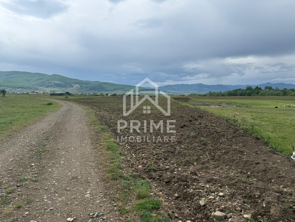 Terenuri de vanzare Barabant Periferie 1