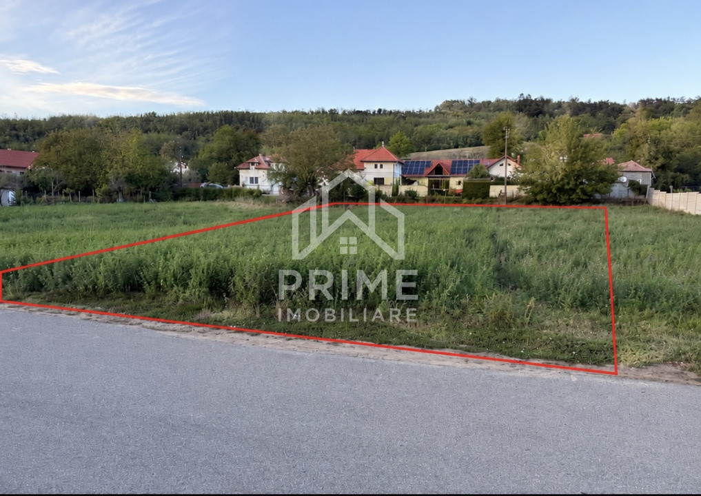 Terenuri de vanzare Hapria Central 1