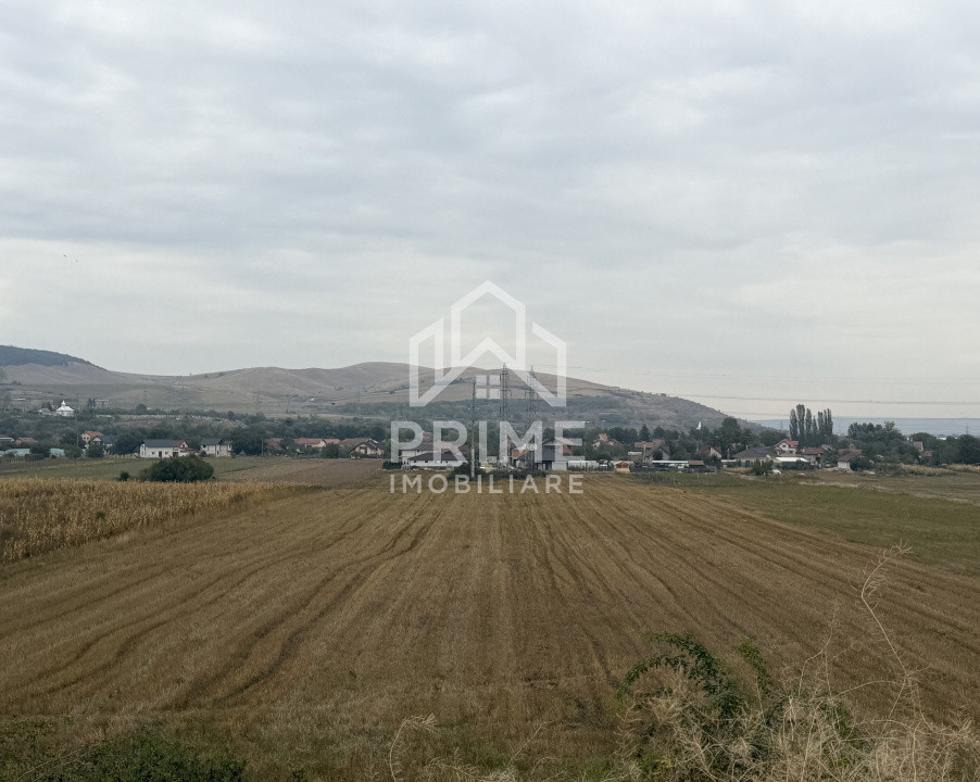 Terenuri de vanzare Alba Iulia Micesti 1