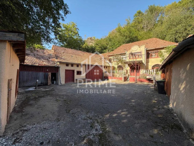 Casa 180 mp + anexe si dependinte pe teren de 2000 mp - Geoagiu de Sus