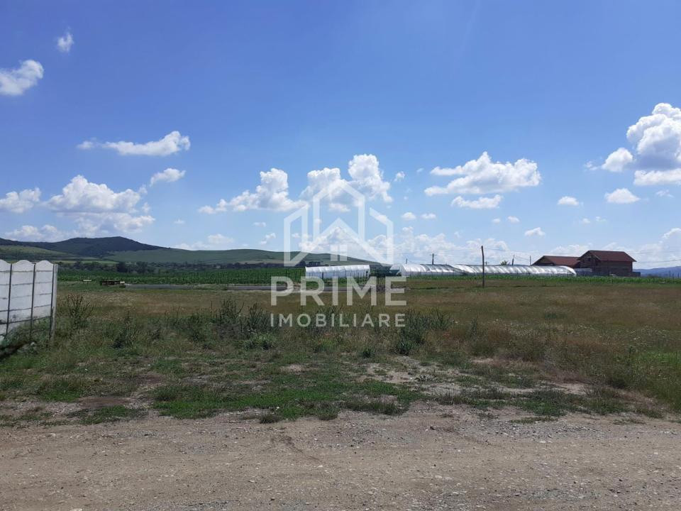 Terenuri de vanzare Alba Iulia Micesti 1