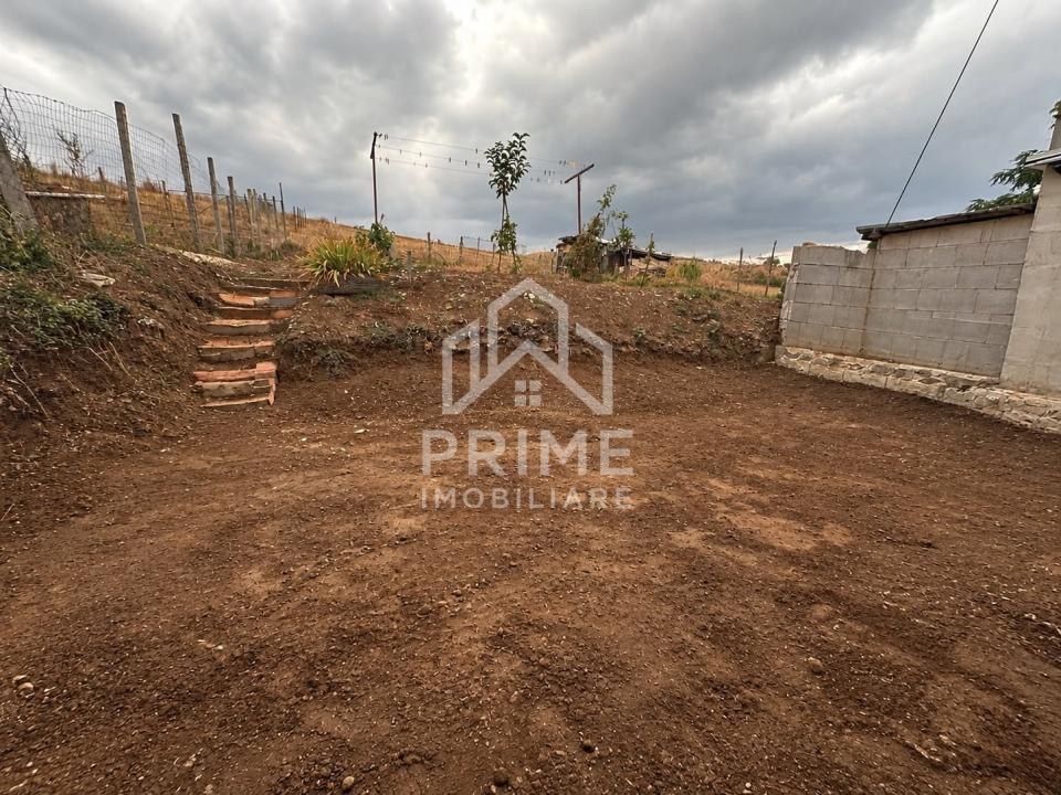 Case de vanzare Ighiu 9