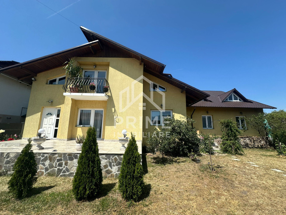 Case de vanzare Sebes 8