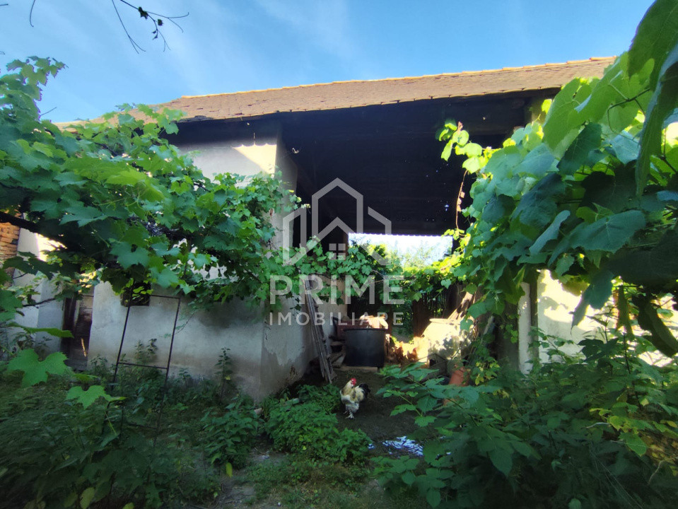 Case de vanzare Petresti 9