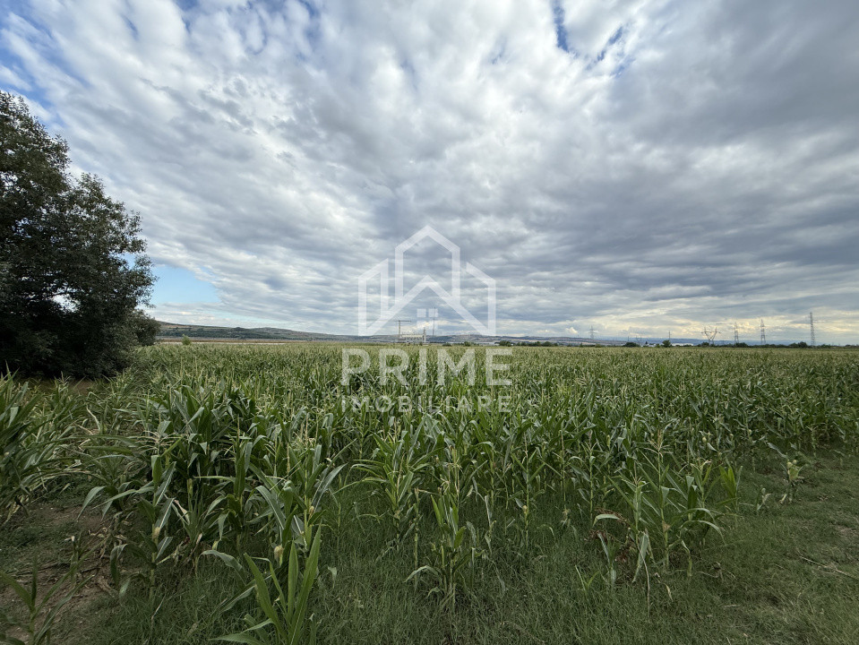 Terenuri de vanzare Alba Iulia 3