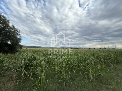 Terenuri de vanzare Alba Iulia imagine mica 3