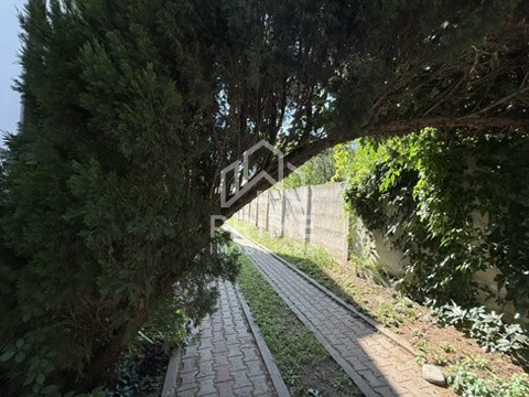 Case de vanzare Alba Iulia Cetate 12