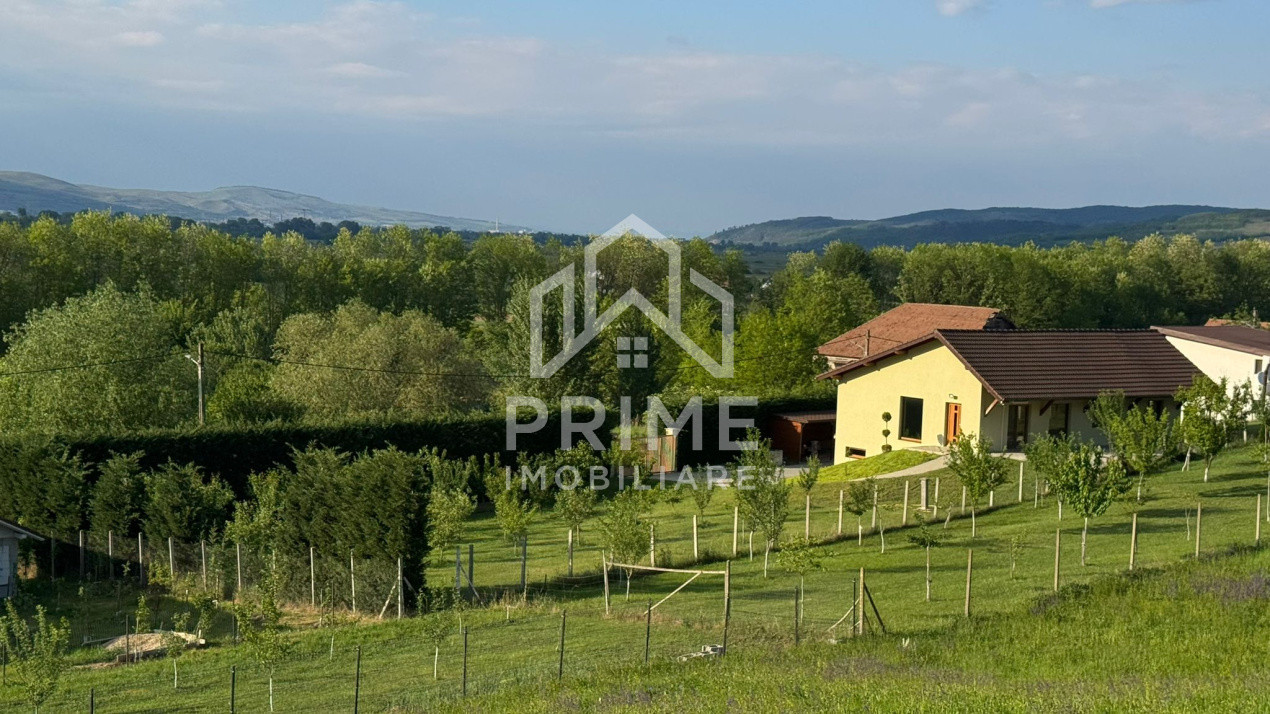 Case de vanzare Dumbrava (Ciugud) 4