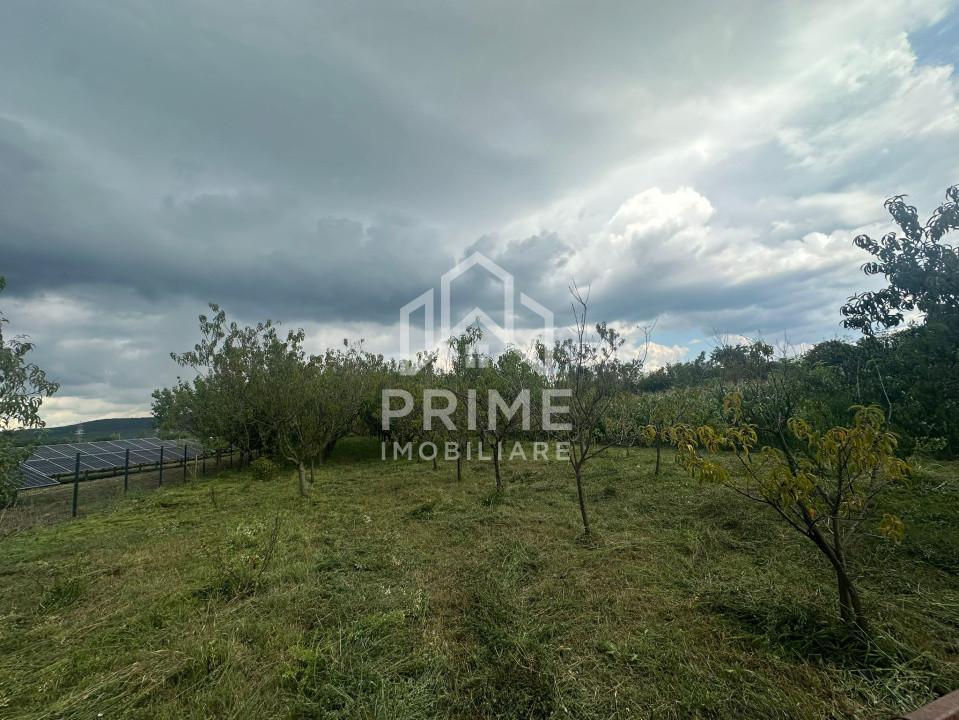 Case de vanzare Aiud 13