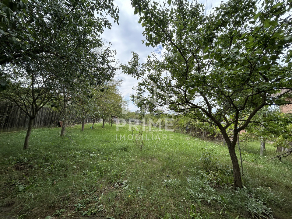 Terenuri de vanzare Alba Iulia Cetate 1