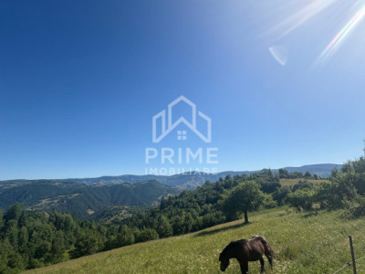Teren intravilan de vânzare – 11.136 mp | ALBAC | CU POSIBILITATE DE PARCELARE |