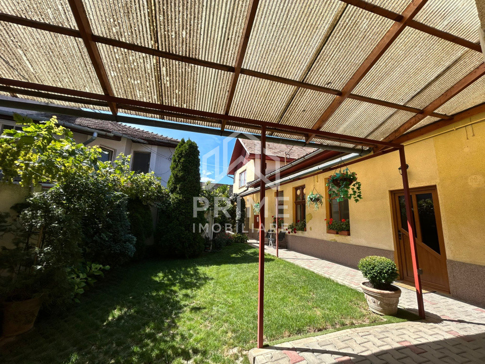 Case de vanzare Alba Iulia 8