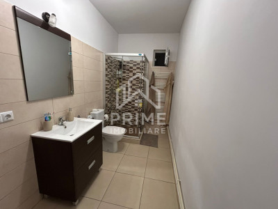 Case de vanzare Alba Iulia imagine mica 6