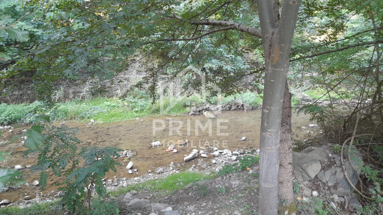 Terenuri de vanzare Fata Pietrii 4