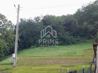 Terenuri de vanzare Fata Pietrii imagine mica 2