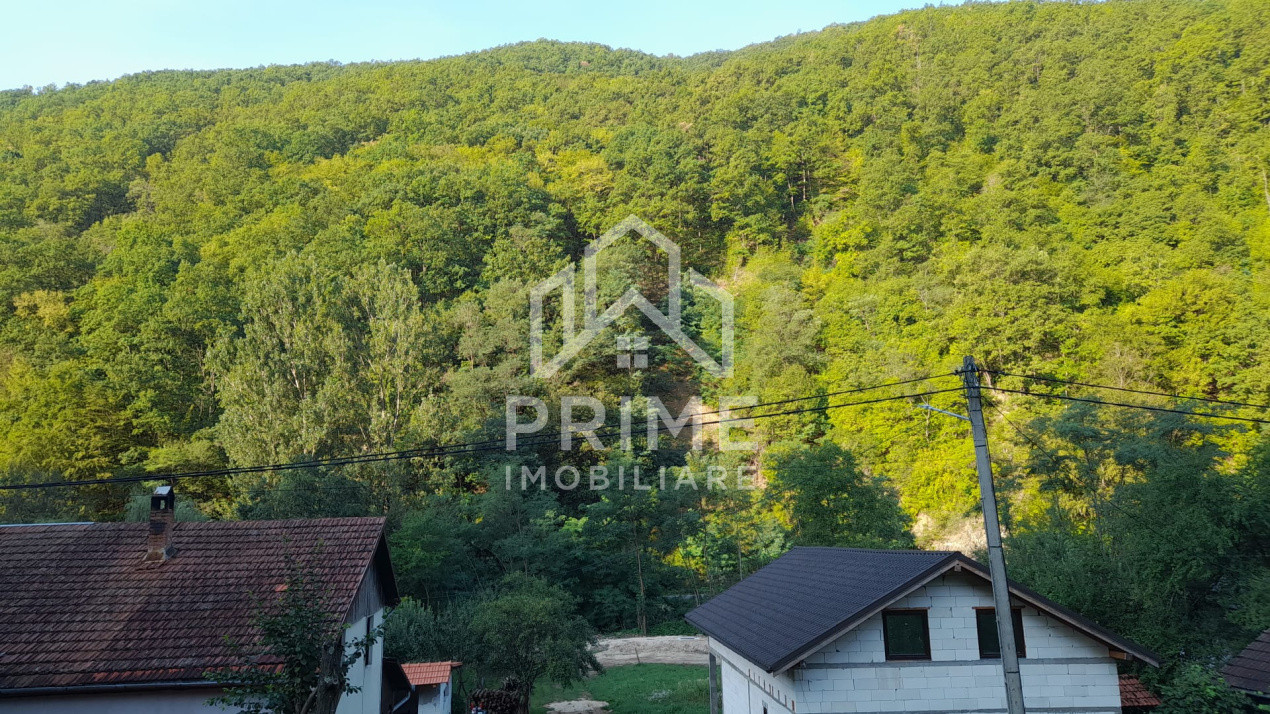 Terenuri de vanzare Fata Pietrii 1