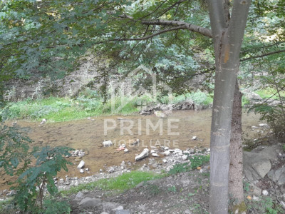 Terenuri de vanzare Fata Pietrii imagine mica 6