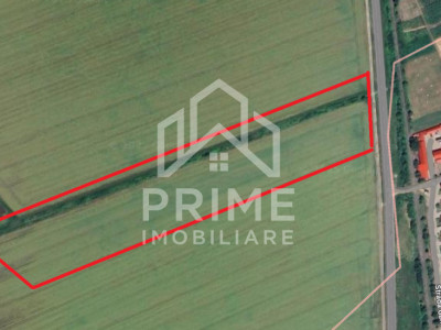 18600 MP - cea mai mare parcela din intravilanul VINEREA - DE VANZARE