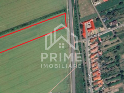 18600 MP - cea mai mare parcela din intravilanul VINEREA - DE VANZARE