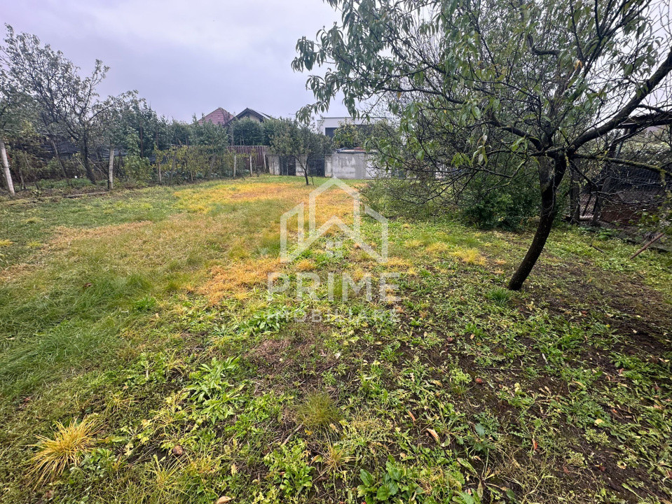 Case de vanzare Alba Iulia Cetate 11